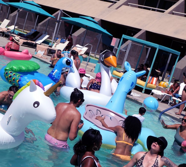 Flamingo Pool Party (Palm&nbspSprings,&nbspCA)
